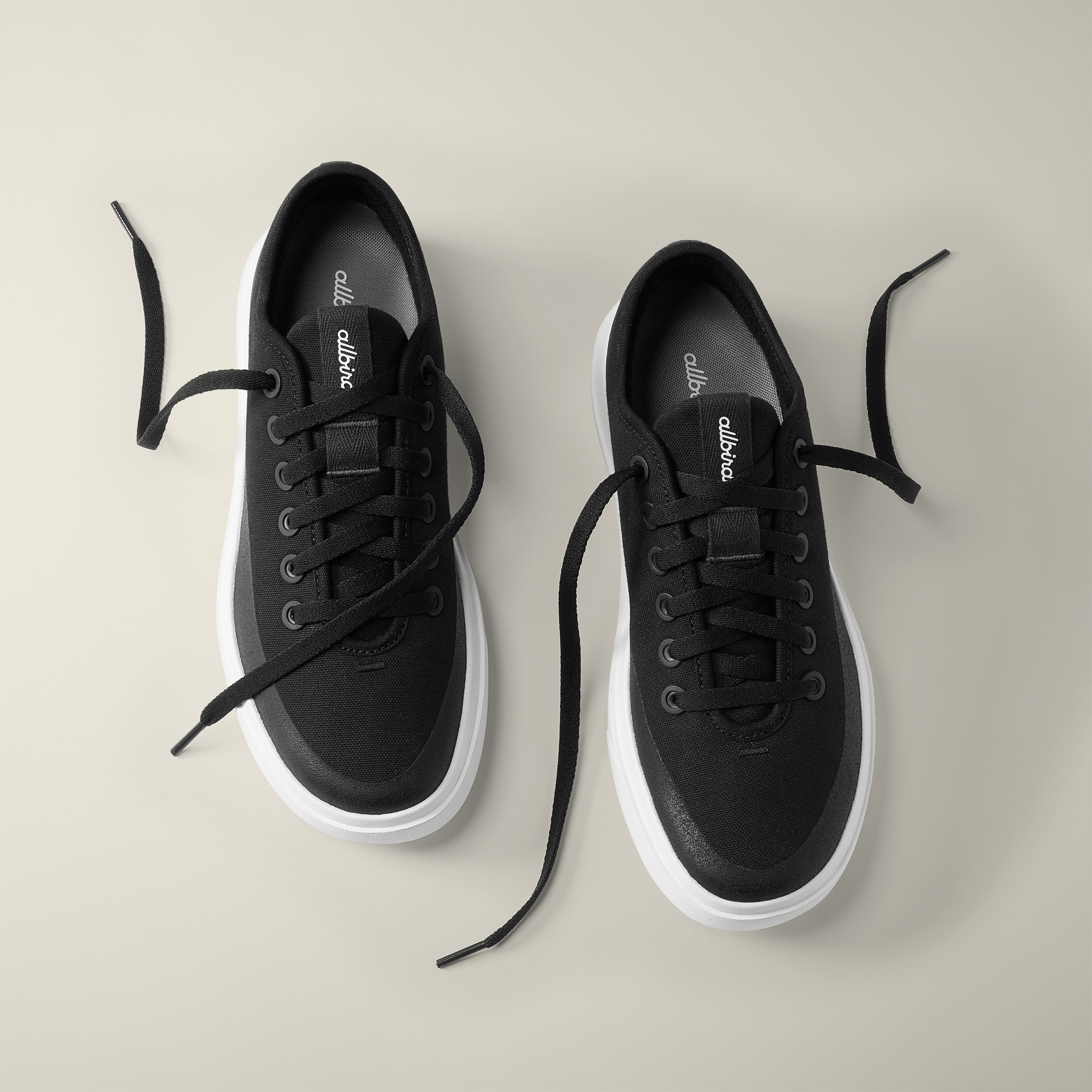 Women s Canvas Pipers allbirds .nz