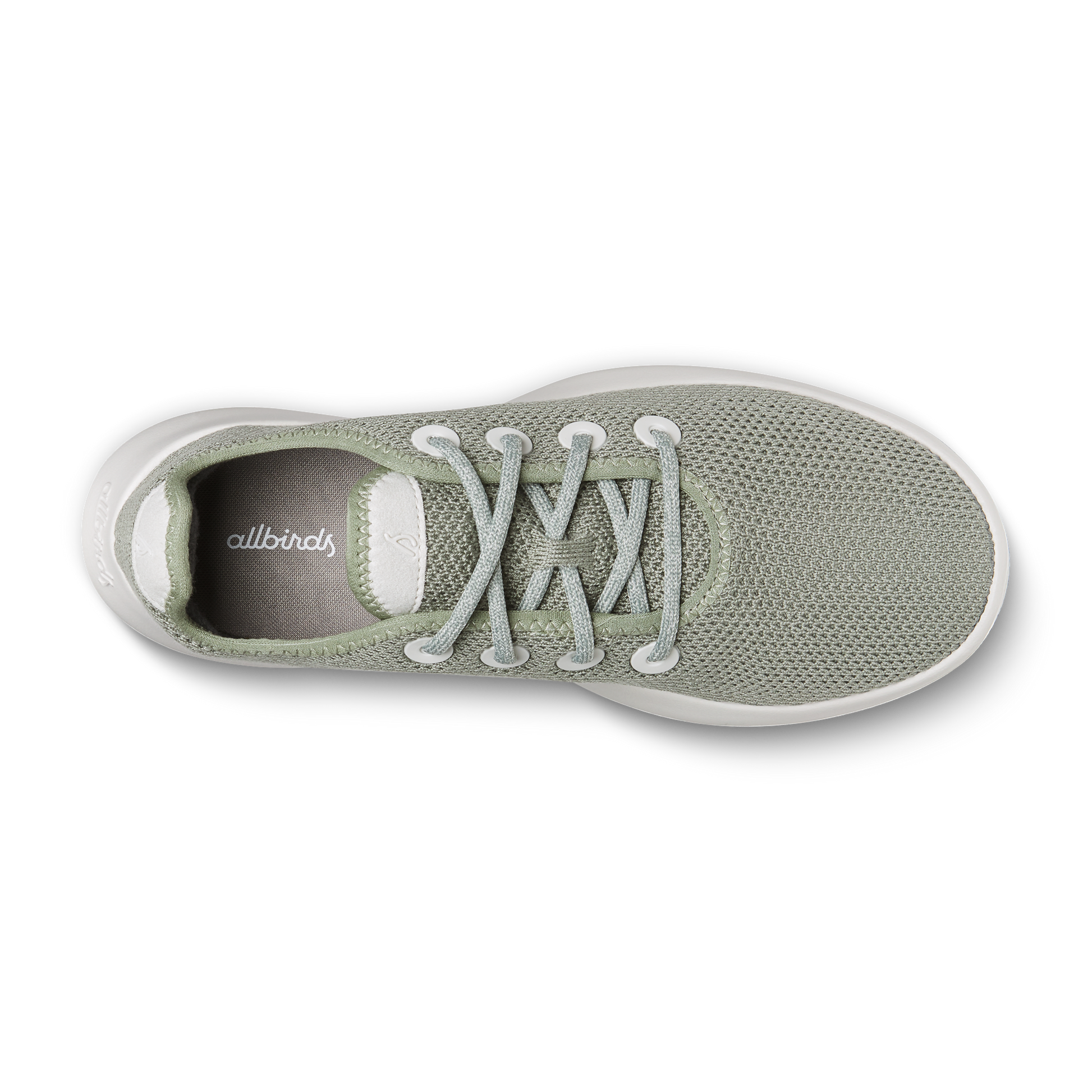 allbirds succulent Women's Tree Runner – allbirds.co.nz