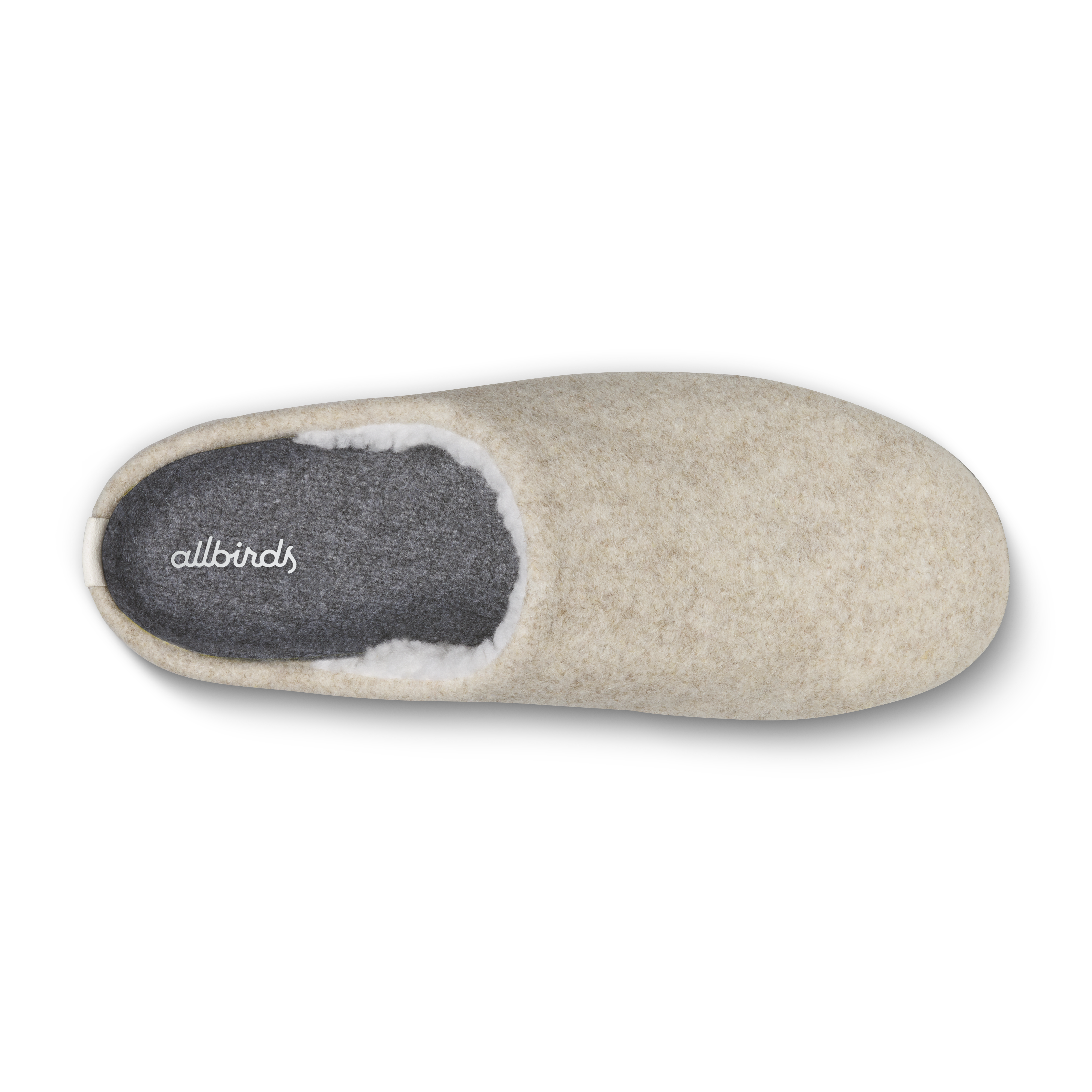 Allbirds Slipper