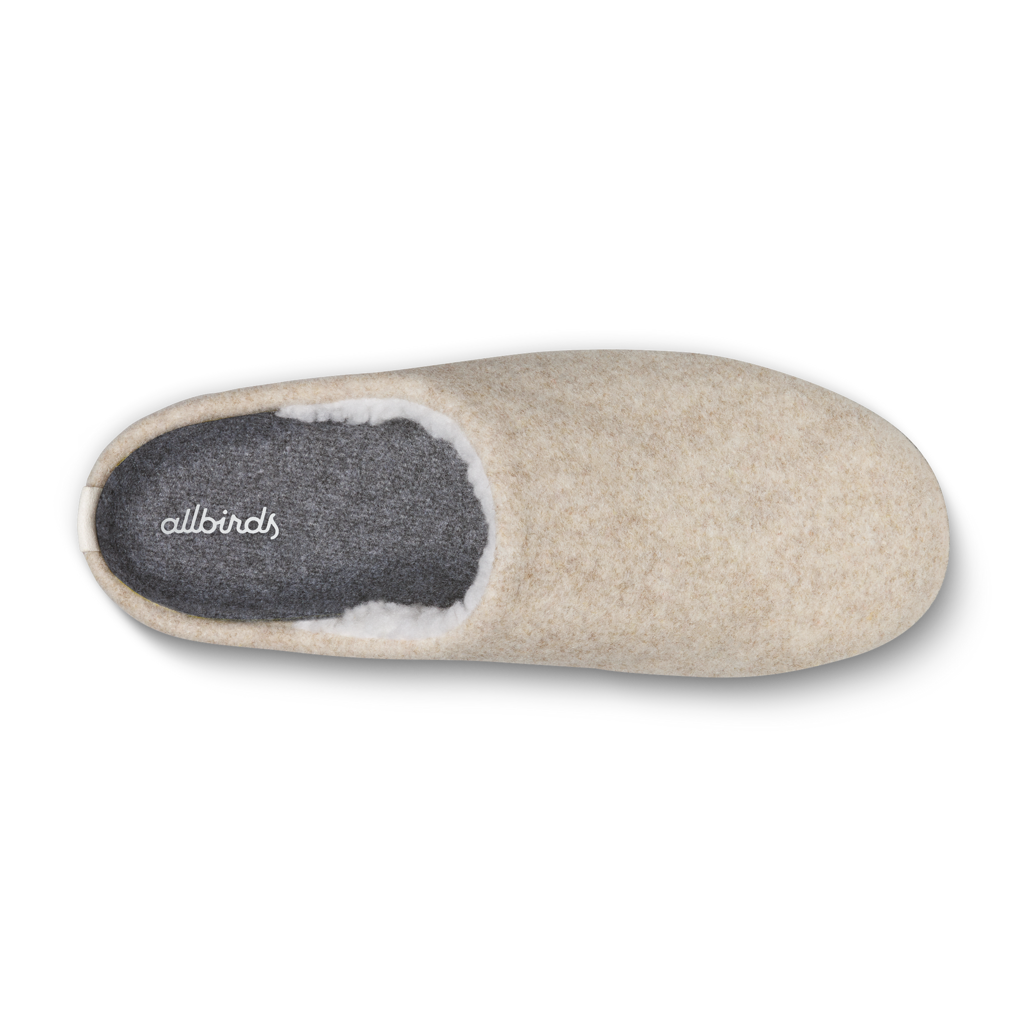 Allbirds Slipper